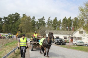 Många olika hästkrafter transporterade riset