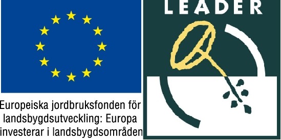 EU-flagga+leader
